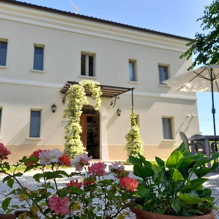 Villa Marietta Country House - Marche Монтемаджоре-аль-Метауро Экстерьер фото