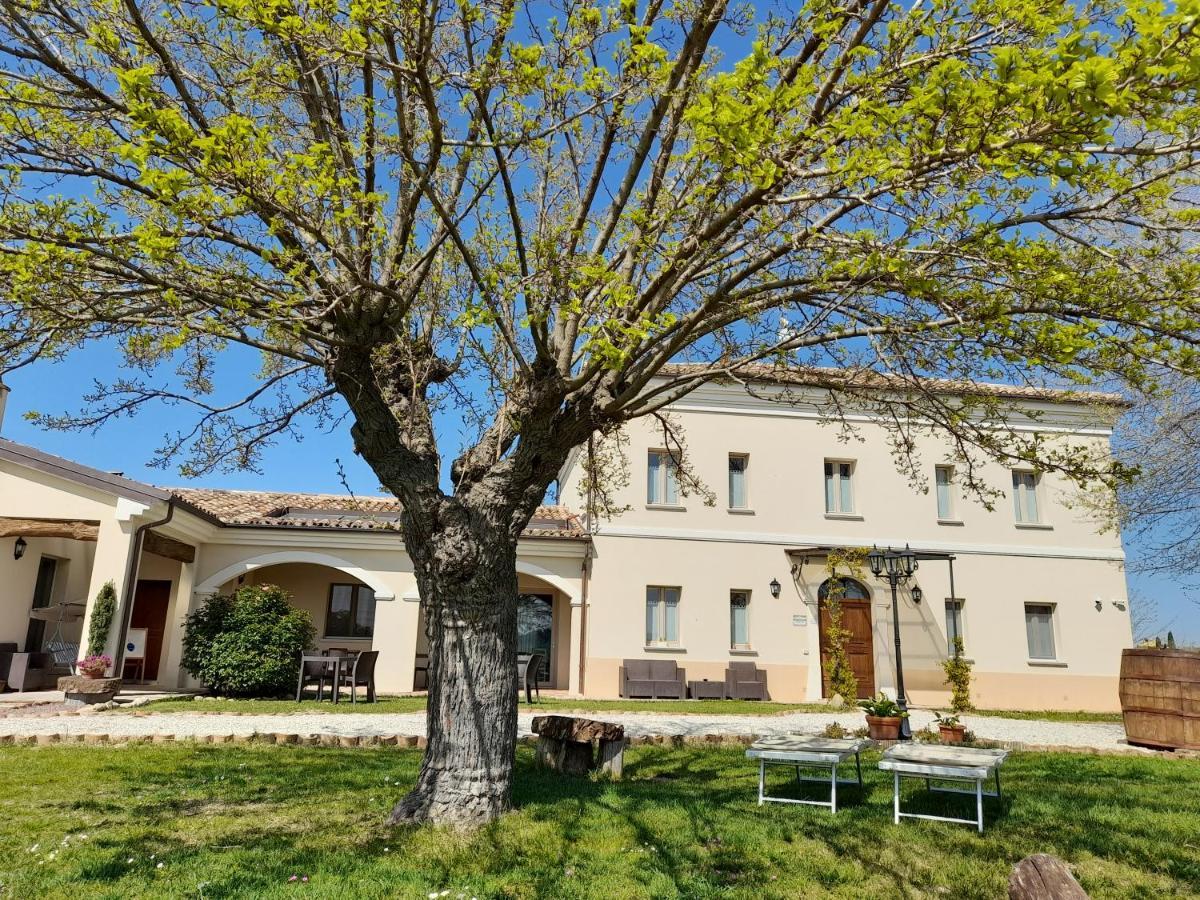 Villa Marietta Country House - Marche Монтемаджоре-аль-Метауро Экстерьер фото